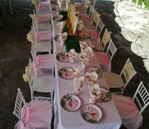 Wit Tiffany chairs